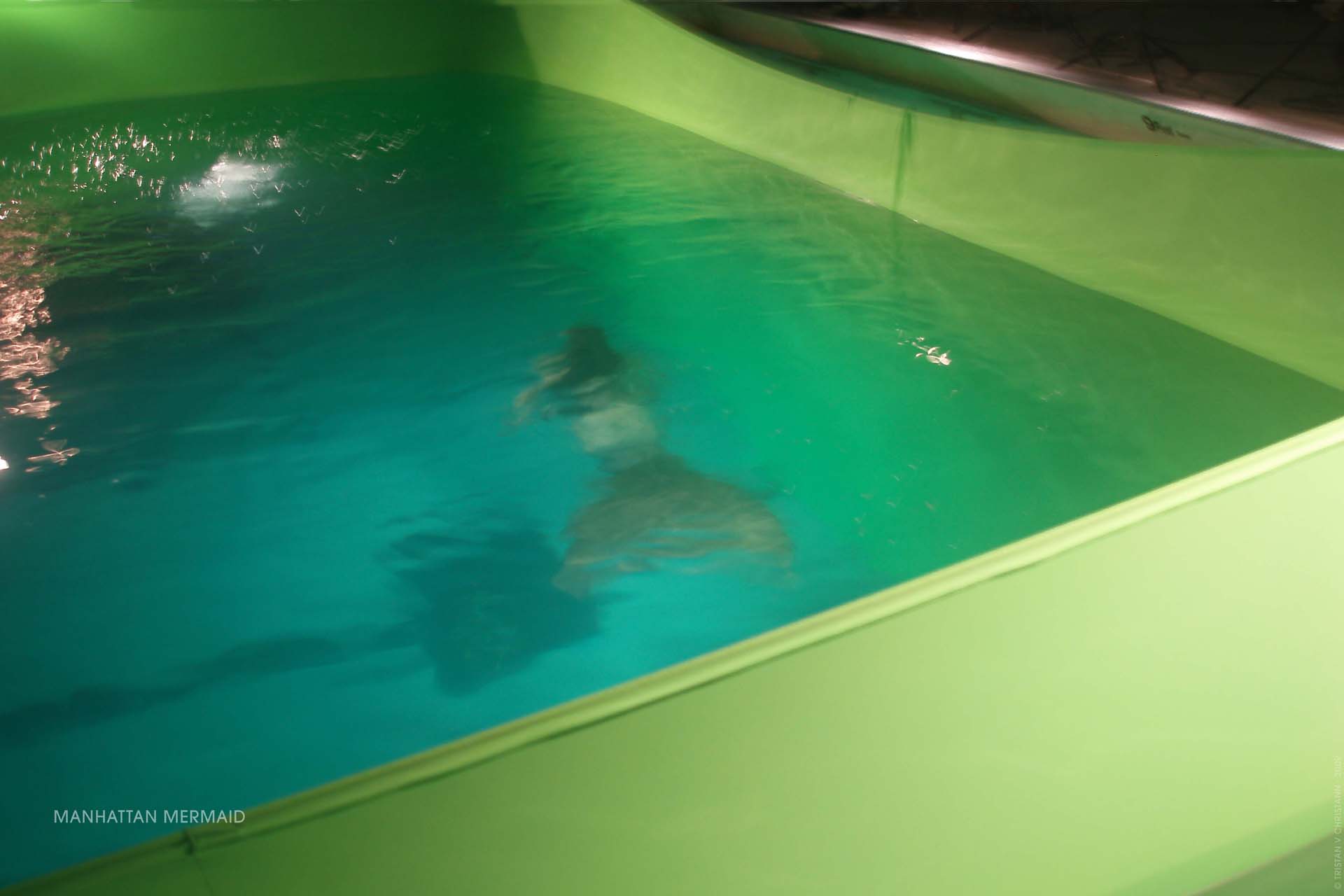 Tristan V Christann, Fantasy, Gaia Award, Moondance Filmfestival, Spirit of Da Vinci, Manhattan Mermaid, Lea Lippert